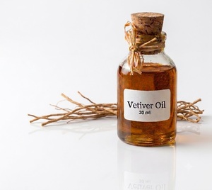 Fabricante de Aceite de Raíz de Vetiver (Ushira) con Aroma Amaderado Verde de Larga Duración, a Granel - Product Image 1