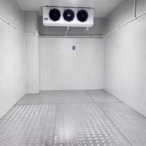 Chambre froide à panneaux isolants en PU pour usage alimentaire et commercial, réfrigération écoénergétique - Product Image 3