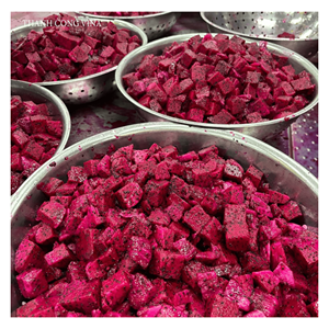 Fruits rouges du dragon surgelés IQF, fabriqués à partir de cubes frais de fruits rouges du dragon vietnamiens, pour les smoothies, les desserts et la préparation de boissons. - Product Image 5