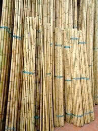 Encuentra un Icono Similar: Varas de Bambú en Diferentes Colores Verde, Negro, Bambú Natural, Varas de Bambú Antiguas - Product Image 5