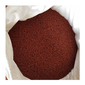 Graines d'annatto séchées en gros pour la fabrication de sauces et mélanges de curry, et l'approvisionnement des cuisines de restauration - Product Image 1