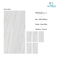 Carreaux de porcelaine de style moderne 600x1200mm, finition mate, aspect marbre, isolation thermique pour sol de salon