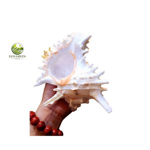 Ornement en coquillage naturel poli à motifs floraux blancs et roses pour la décoration intérieure - Product Image 1