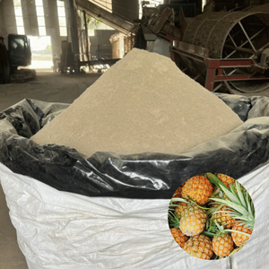 Poudre de peau d'ananas séchée de qualité export, fabriquée au Vietnam, en gros, la plus vendue, emballage personnalisé - Product Image 1