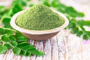 Polvo de Hoja de Moringa Orgánica en Oferta, Superalimento, Grado de Té, 100% Natural, Sin Aditivos, Venta al Por Mayor, Tamil Nadu Mesh - Product Image 2
