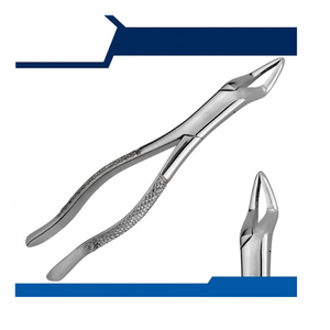 Offre Spéciale : Pinces d'extraction dentaire en acier inoxydable de qualité allemande, instruments chirurgicaux dentaires certifiés CE ISO13485 - Product Image 2