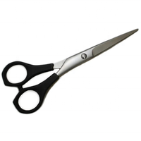 Ciseaux de coiffure professionnels Tegra de haute qualité en acier inoxydable, à lame tranchante, 30 dents, manche en caoutchouc, pour droitiers