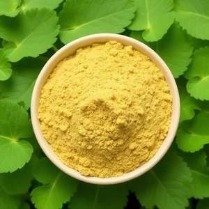 Cosmetic Grade 10%-90% Gotu Kola <b>Extract</b> Herbal Centella Asiatica Powder Plant <b>Extract</b> - Product Image 2