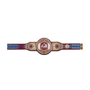Ceinture de champion de lutte de luxe, plaques plaquées or de haute qualité, logo personnalisé, fournisseur en gros, ODM, design de couleur unique 2026 - Product Image 2