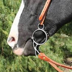Mors de cheval en acier inoxydable avec finition polie, matériau de haute qualité pour l'équitation quotidienne - Product Image 2