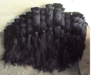 Corne de buffle écologique, lavée et nettoyée à la main, de taille spécifique pour la fabrication de brosses, unité de poils de queue d'animal par FAIZA CRAFT - Product Image 6