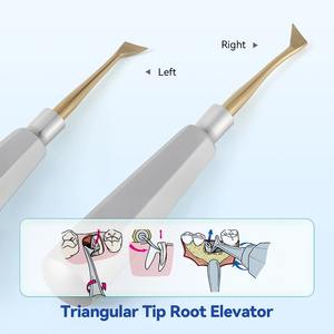 Élévateur dentaire en acier inoxydable, instrument chirurgical pour dentiste, extraction dentaire, élévateur dentaire droit et triangulaire - Product Image 3