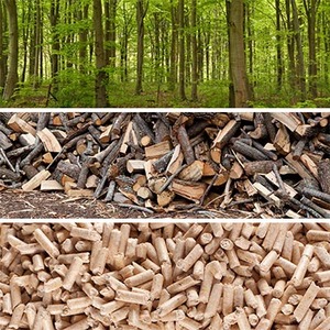 Venta al por Mayor de Pellets de Madera 100% Naturales, Combustible de Biomasa Ecológico para Calefacción y Cocina, Precio Competitivo - Product Image 3