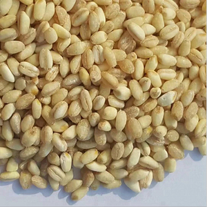 Vente en gros de blé dur biologique séché de qualité alimentaire, meilleur fabricant - Product Image 4