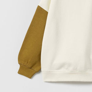 เสื้อสเวตเชิ้ตผู้ชายแบบปรับได้สำหรับฤดูหนาว  ออกแบบสีบล็อกพร้อมโลโก้สั่งทำ  ระบายอากาศได้ดี  ลายปักแบบเรียบ  ผ้าฟลีซโพลีเอสเตอร์/คอตตอน - Product Image 2