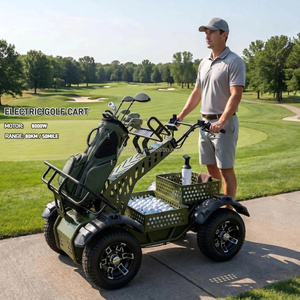 Scooter de <span class=keywords><strong>golf</strong></span> électrique 4 roues, pneus larges, batterie lithium 8000W, monoplace, avec porte-sac, pour adulte - Product Image 2