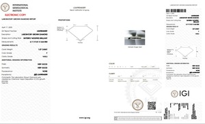เพชรแท้ IGI Certified HPHT Lab Grown 3 กะรัต G VVS รูปทรงวงรี CVD สำหรับเครื่องประดับ เพชรคุณภาพสูงแบบเม็ดเดี่ยวในอินเดีย - Product Image 2