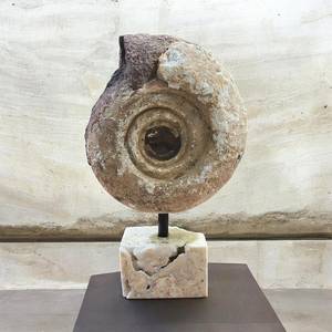 Spécimen minéral brut d'ammonite naturelle avec support en calcite, artisanat et objet de collection - Product Image 6