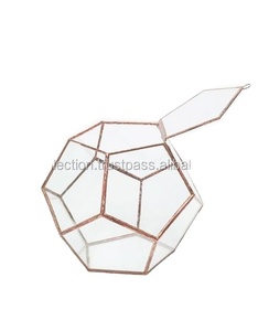 Nouveau produits terrarium en verre de style géométrique, bouteille de verre couleur or 12 verre, terrarium - Product Image 2