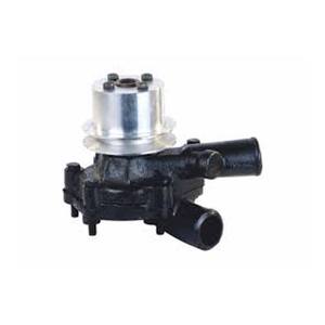Pièces de rechange pour moteur de tracteur, ensemble pompe à eau et pompe à huile, compatible avec MAHINDRA YUVRAJ ancien modèle 006009094B91 - Product Image 1