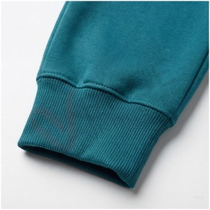 Conjunto Deportivo para Hombre en Color Verde Azulado, Manga Larga, con Capucha y Cierre Frontal, Color Sólido, Transpirable, Corte Regular, para Otoño - Product Image 6