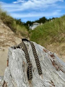 Correa de Lujo para Bolsos con Cuentas de Níquel, Diseño Personalizado, Estilo Cinturón Impermeable para Bolsos de Mano, Bolsos de Hombro y Carteras - Accesorios y Componentes - Product Image 2