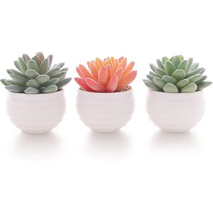 Mini Macetas con Suculentas Artificiales, Plantas Falsas en Cerámica, Arreglo Decorativo para Hogar u Oficina, Regalo para Mujeres - Product Image 1