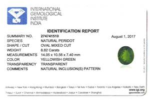 เพอริดอทดีไซน์วงรี น้ำหนัก 8.82 กะรัต ได้รับการรับรองจาก IGI สีเขียวพรีเมียม ความใสระดับเยี่ยม คุณภาพดีเยี่ยม ความเงางามสวยงาม ผลิตจากบราซิล - Product Image 6
