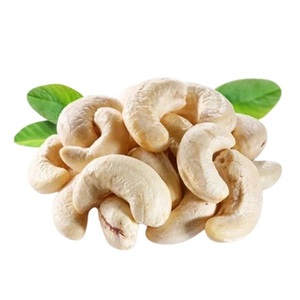 Anacardos Jumbo de Alta Calidad a Precio de Mayoreo con Gran Tamaño de Nuez, Sabor Natural y Suministro Confiable para Compradores Internacionales - Product Image 2