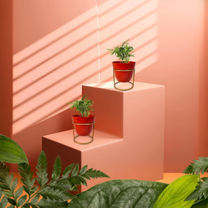 Maceta Blanca de Metal para Plantas con Soporte de Hierro, Moderna y Elevada, para Decoración Minimalista del Hogar, Estilo de Jardín Interior, Elegante - Product Image 3