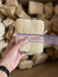 Lot de 6 éponges exfoliantes en loofah bio, pressées et douces, emballage personnalisé, cultivées à la ferme, pour le corps, origine Vietnam - Product Image 3