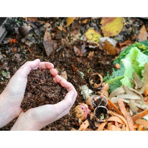 Línea de Producción de Fertilizante Orgánico a Base de Biomasa, Compost, Vainas de Cacao y Estiércol de Oveja y Cabra - Product Image 2