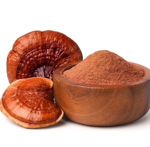 Premium Ganoderma <b>Mushroom</b> Extract Powder Bulk 100% Pure Natural Herbal Supplement for Immunity Support OEM Wholesale Supply - Product Image 1