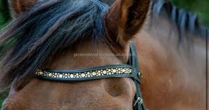 Fancy Leather Hot Fix Brow band disponible dans toutes les tailles, couleurs fabriquées en Inde - Product Image 5