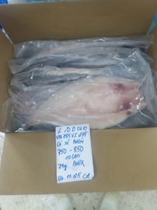 Pangasius Butterfly Congelado IQF de Vietnam, 10 kg, en Caja, con 0-20% de Glaseado de Hielo, 20-35 cm, Filete de Pescado VH con Piel/Sin Piel - Product Image 5