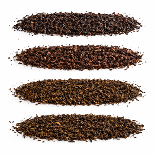 Juego de Regalo Surtido de Té Suelto Fermentado Premium del Mundo |   Colección de Degustación de Cuatro Orígenes, 4 Bolsas de 300g - Product Image 1