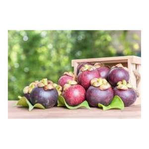 Mangoustan frais et sucré cultivé au Vietnam - Product Image 4