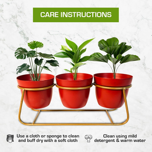 Macetero Moderno de Metal con Soporte de Hierro, Maceta Decorativa Elevada para Plantas de Interior, Suculentas y Hogar con Estilo - Product Image 6