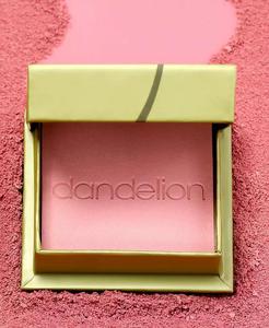Blush in polvere setoso e morbido del mondo vagabondo | Cosmetici a beneficio - Product Image 2