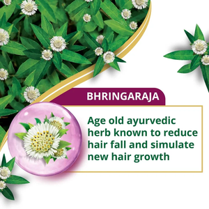 Shampoo anti-chute naturel enrichi en protéines de bhringaraja, conçu pour le soin du cuir chevelu et la vitalité des cheveux, adapté aux hommes et aux femmes. - Product Image 6