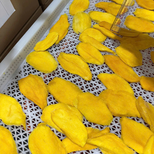 Mangues séchées moelleuses en tranches, fabriquées en Asie, 1 pièce, sucrées et savoureuses, emballées en sachet refermable de 500g avec étiquette personnalisée pour l'exportation en gros. - Product Image 1