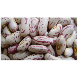 Frijoles Rojos Oscuros, Marrones, Tipo Sugar Beans o Pinto Beans, Frijoles Blancos Tipo Sugar Beans de Calidad - Product Image 4