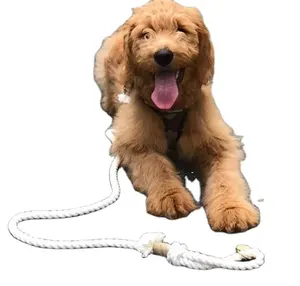 Witte Kleur Katoen Hond Touw Leash