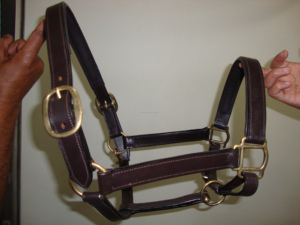 Cheval équestre multicolore entièrement réglable en cuir durable couronne licou dans toutes les tailles et couleurs personnalisées - Product Image 2