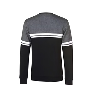Sweat-shirt à col rond oversize pour homme de haute qualité, en coton molletonné, style streetwear décontracté, vente en gros OEM - Product Image 5
