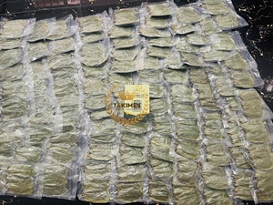 Vietnam feuilles de corossol séchées séchage par Machine riche arôme pour tisane et remèdes Graviola feuilles emballage OEM - Product Image 5