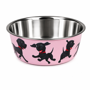 Cuenco portátil para mascotas para cachorros de juego, cuenco para mascotas, cuenco para mascotas de acero inoxidable, gran oferta, cuenco para mascotas aislado de acero inoxidable - Product Image 1