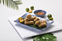 Platos Rectangulares de Melamina con Logotipo Personalizado, Plato Ondulado para Restaurante Vietnamita, Pho, Rollitos Primavera, Comida Frita, Venta al por Mayor