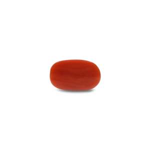 Natural Loose Gemstone 7.9 Carat Certified Wholesale Red Coral - Product Image 2