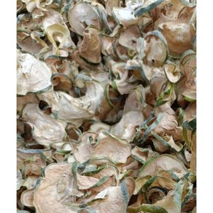 Melon d'hiver séché biologique |   Melon d'hiver séché pour aliments et boissons fonctionnels |   Ingrédient naturel // Evan - Product Image 3